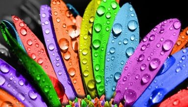 Cara Menurunkan Berat Badan Pada 6 Kelopak Diet